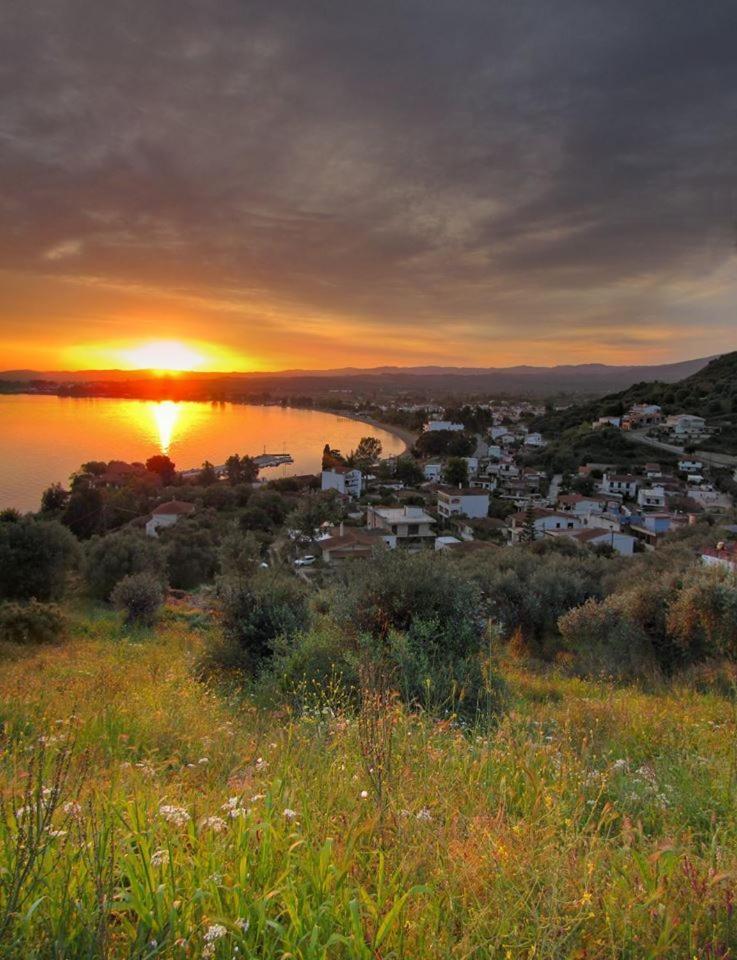 Kochili Apartments Néos Pírgos Buitenkant foto